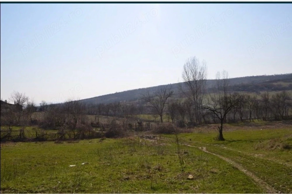 Teren Ramnicu valcea Str Macesului sub padure - 1200 mp deschidere 24 m - curent apa canal gaze 