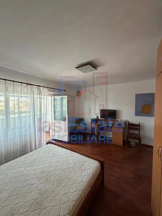 Apartament 1 camera Alexandru cel Bun