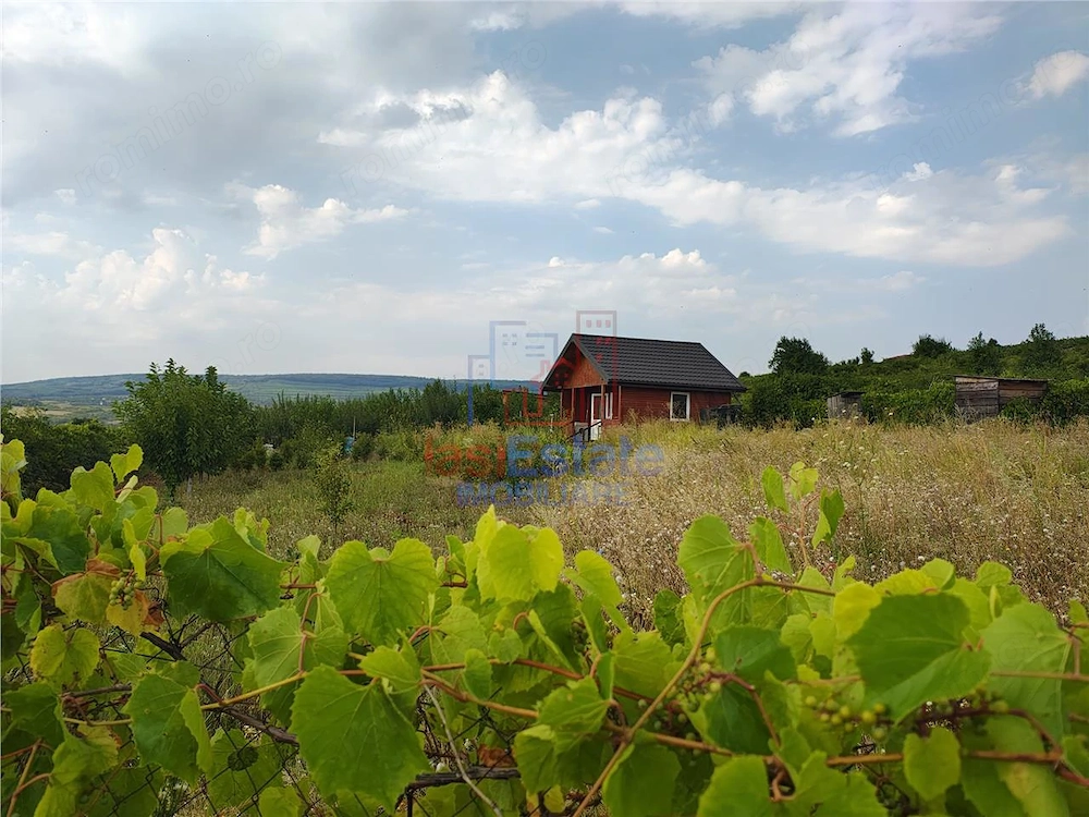 Intravilan - Tomesti - Teren si Cabana zona frumoasa