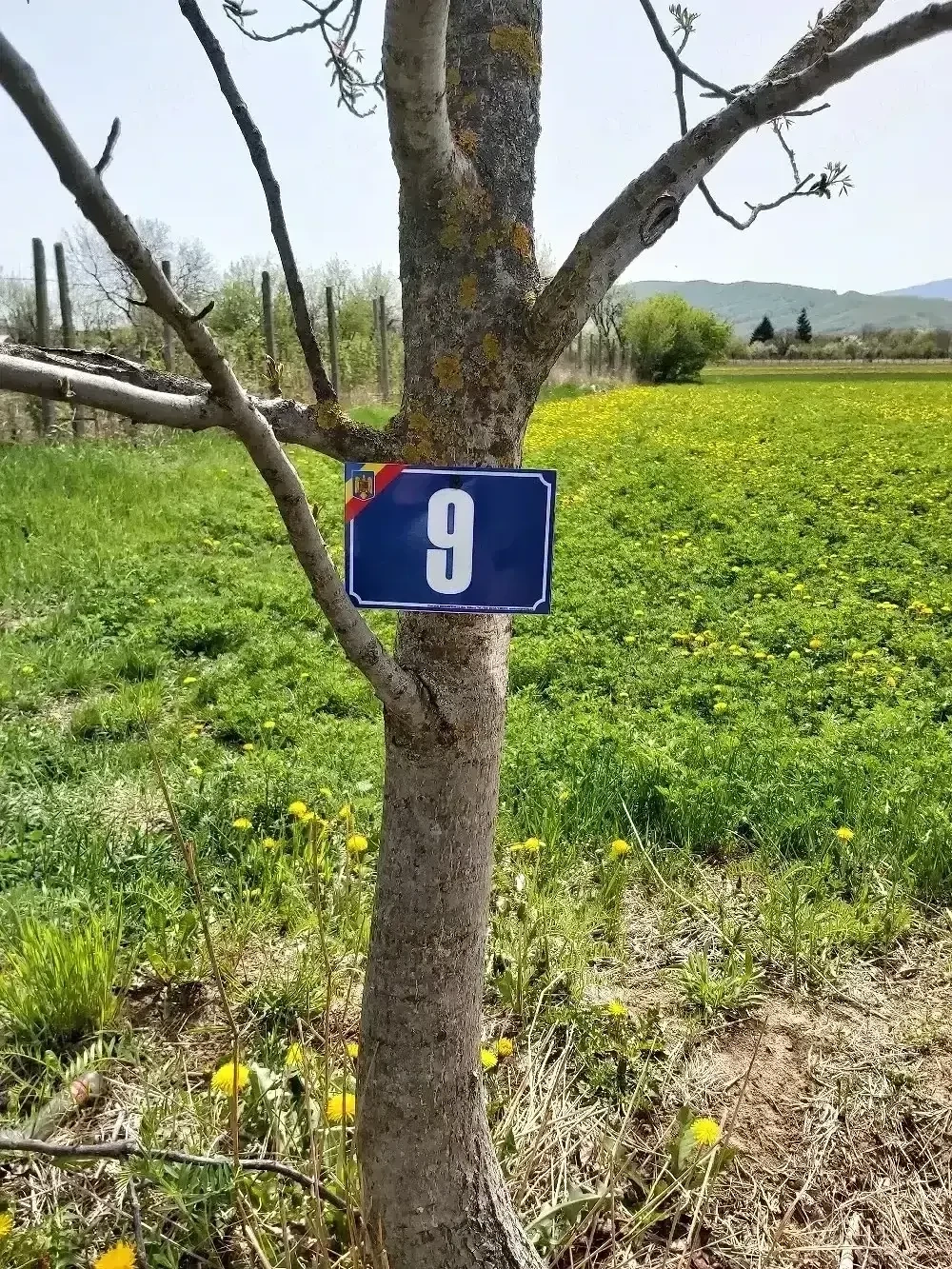 Vând teren construcții casă