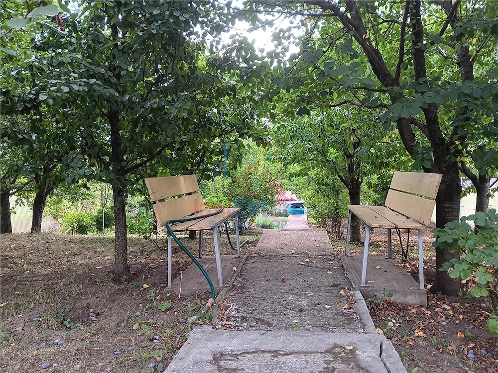 Rediu langa gradinita KiKi TEREN 500mp intravilan cu toate utilitatile