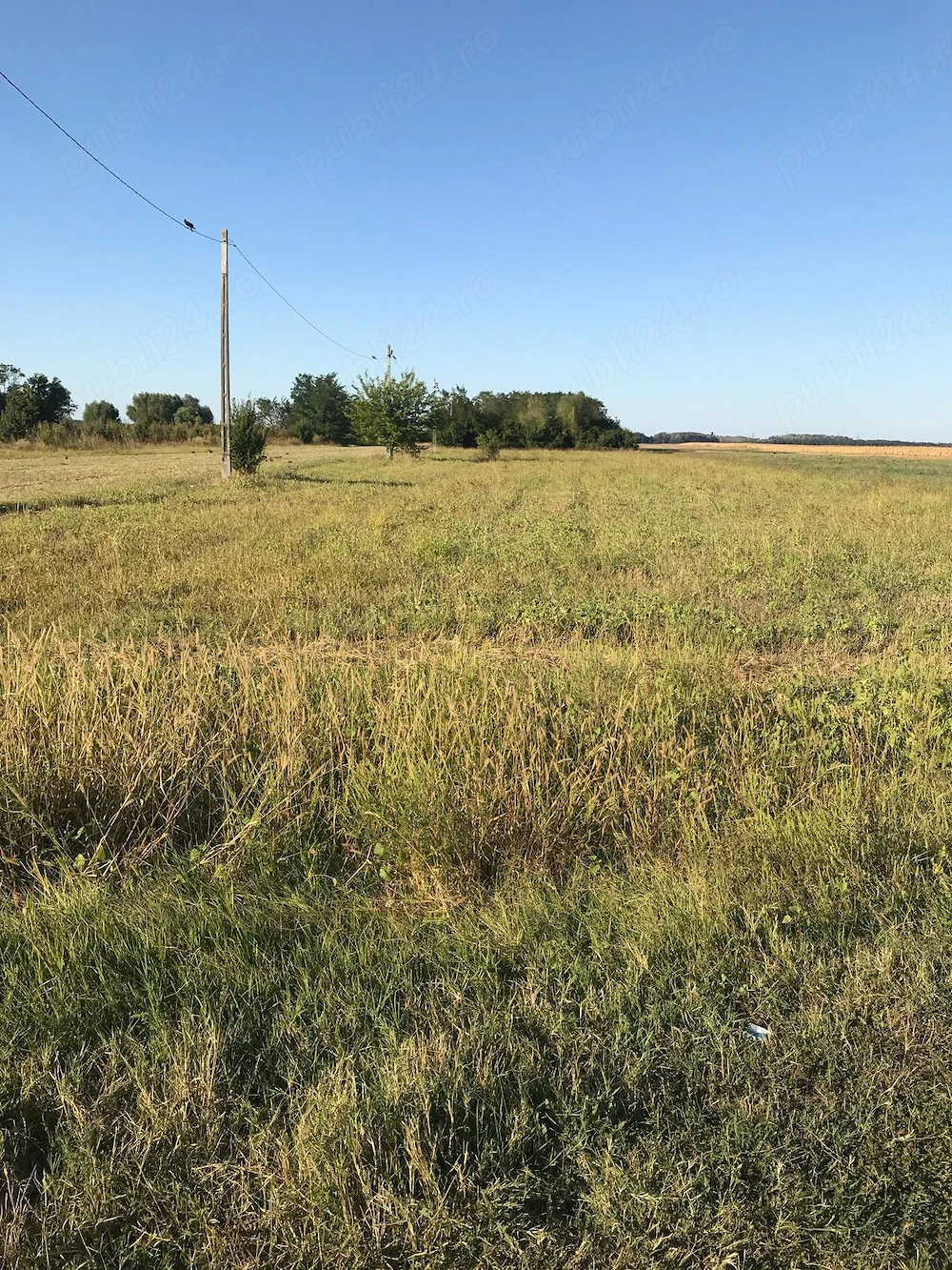 Vanzare teren intravilan Crivat Judetul Calarasi (30 km distanta de Bucuresti)fac