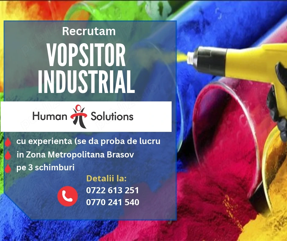 Vopsitor industrial (cu experienta   se da test) - BRASOV