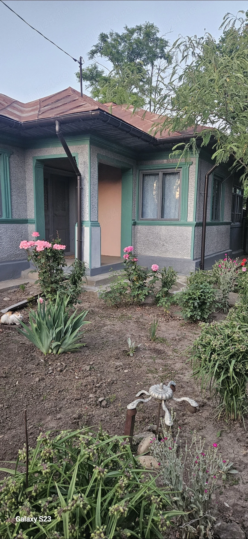 Gospodărie casa și teren Cocora Str Principală asfaltată jud Ialomița 