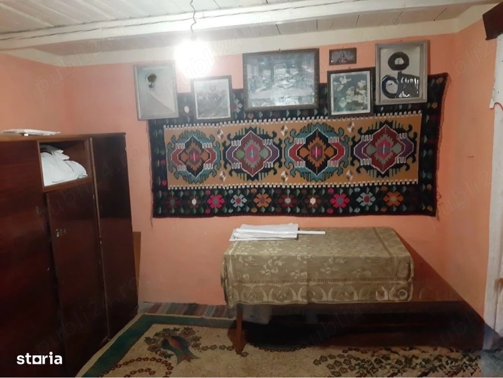 Casă bătrânească, teren 3.227 mp, vie și pomi fructiferi, Iepureni, Iași