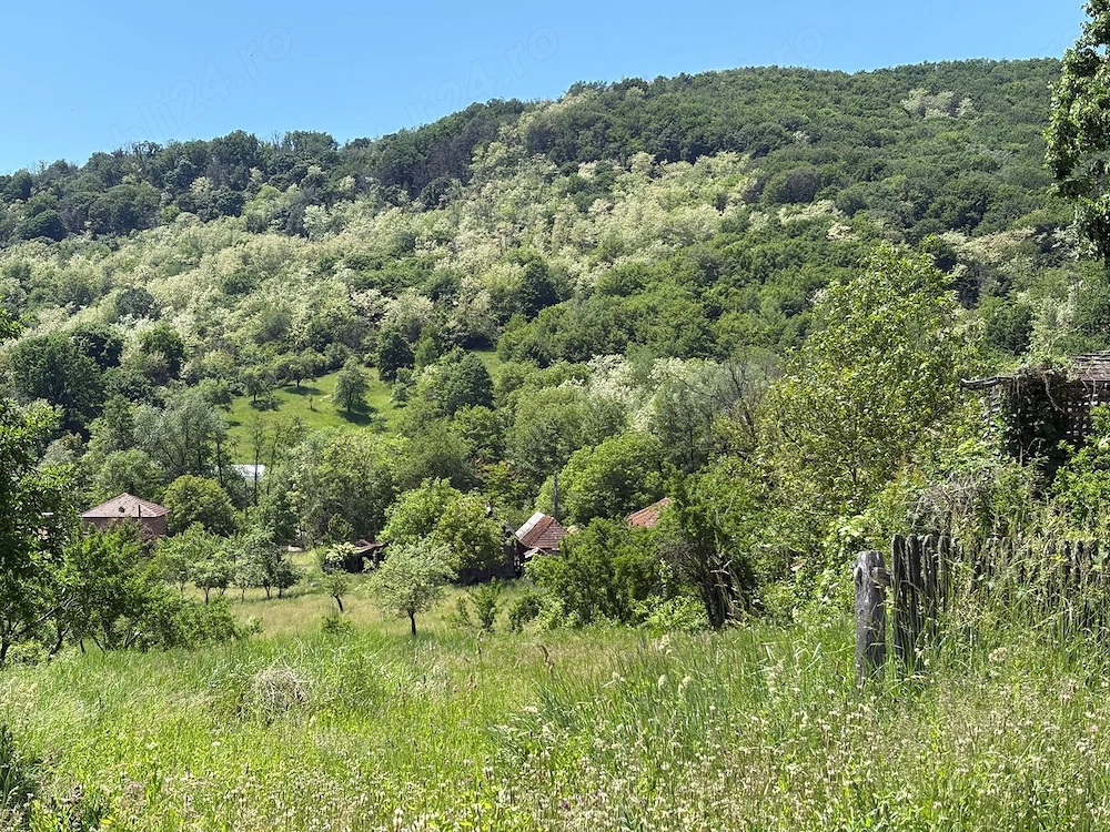 De vanzare: Teren 1000 mp intravilan in Bunesti -  Malureni, Arges 