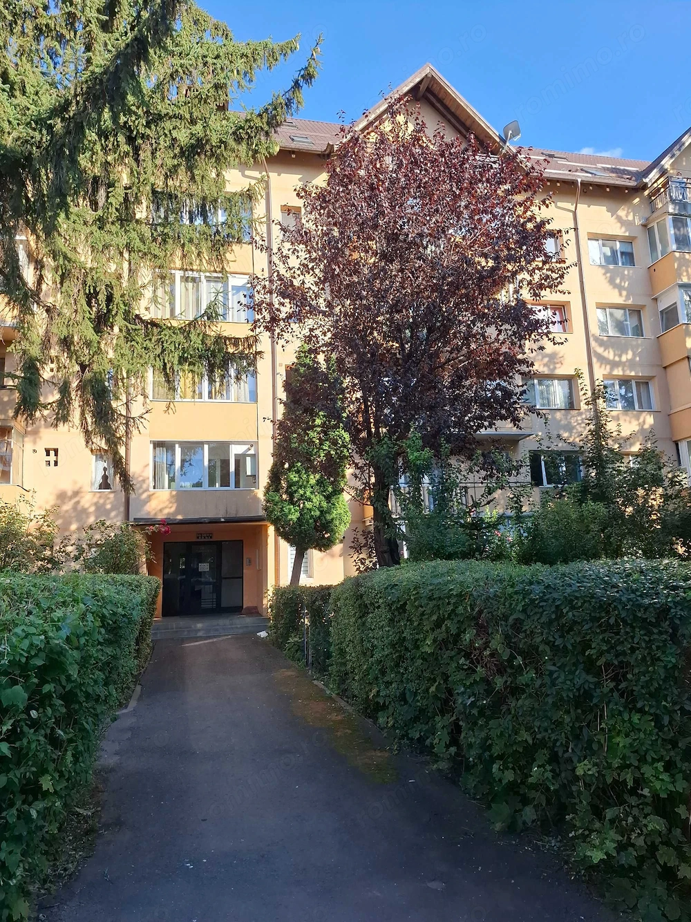 Apartament 3 camere de inchiriat