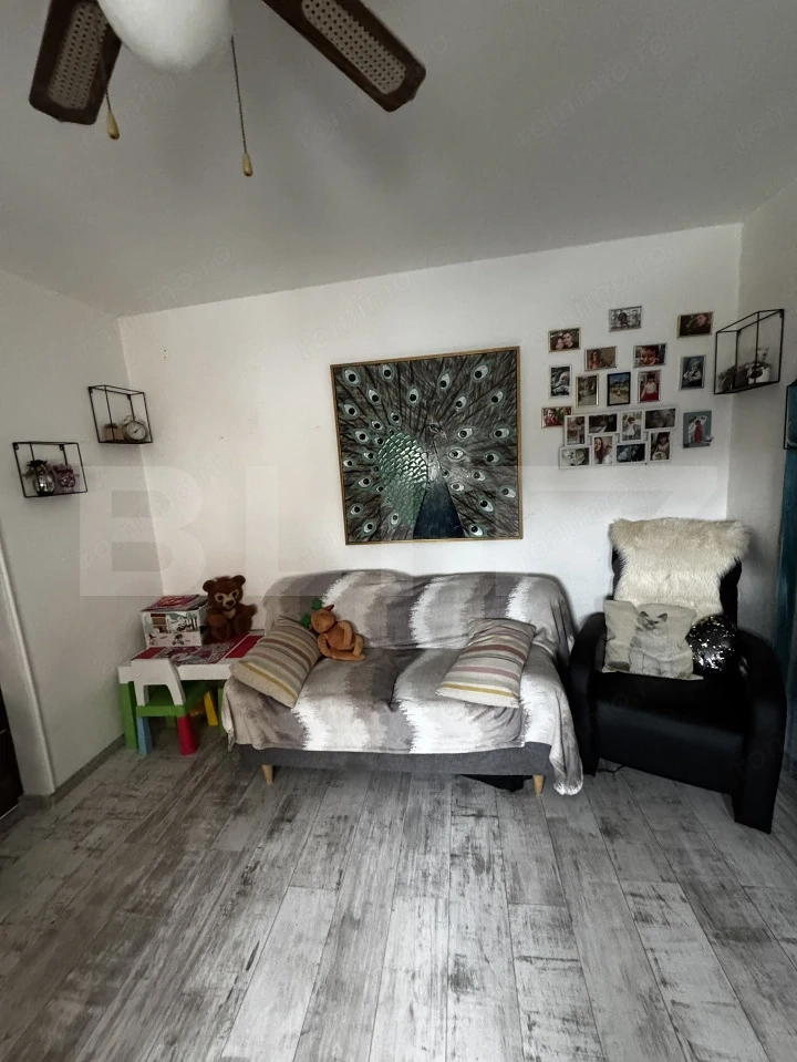 Apartament 2 camere, 30 mp, zona Rovinari