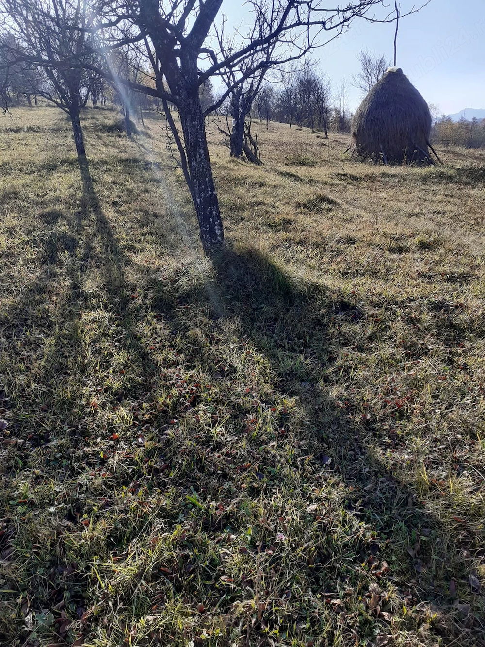 De vânzare teren intravilan de 2000 mp în Poienile Izei, Maramureș   Proprietar
