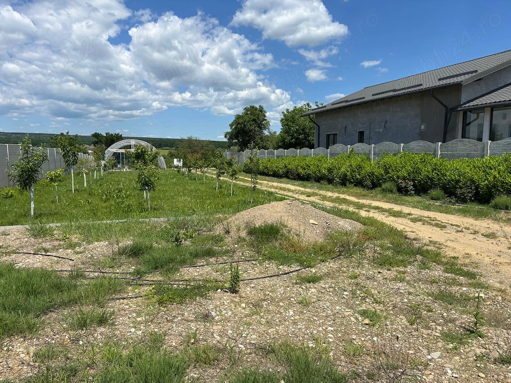 Vanzare teren  3260 mp intravilan Plopu Prahova