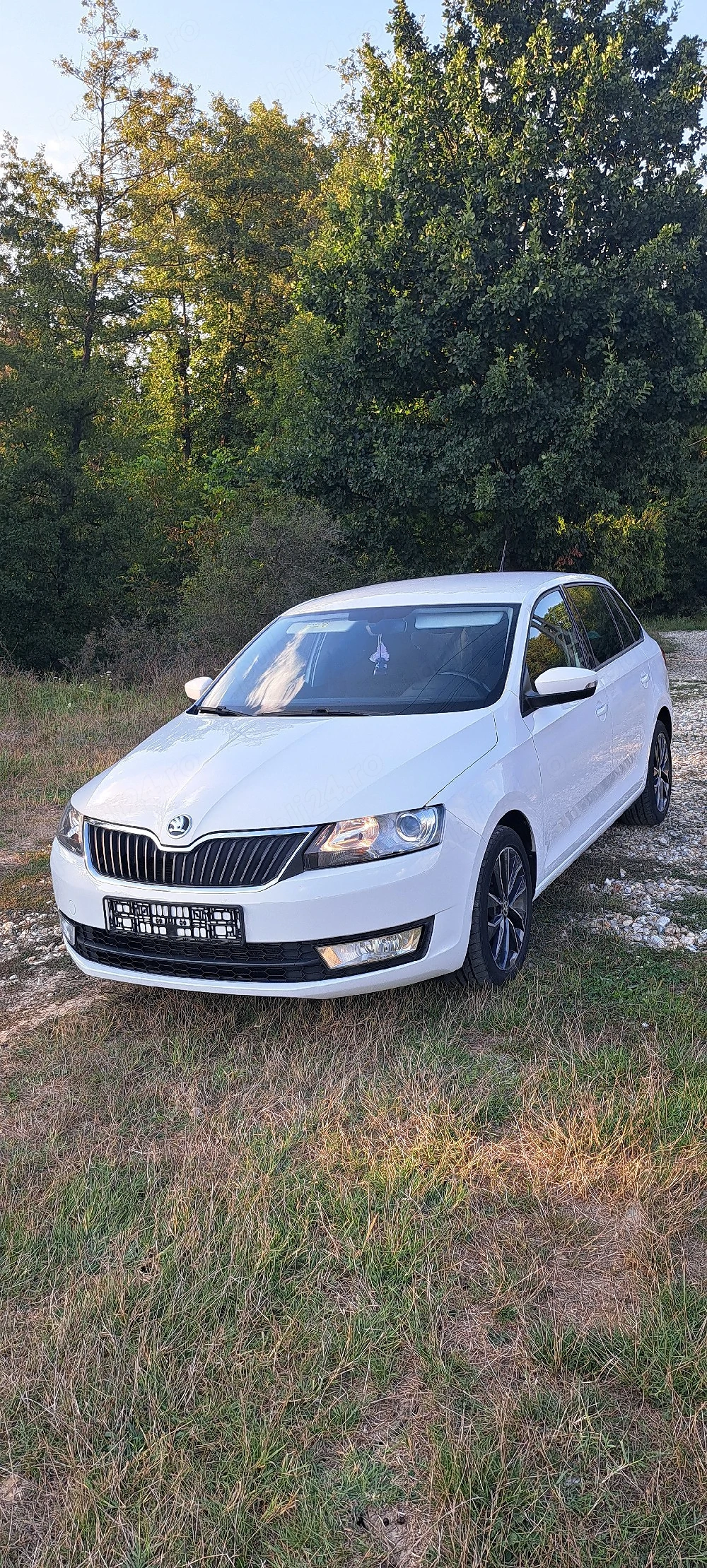 Skoda Rapid Spaceback 