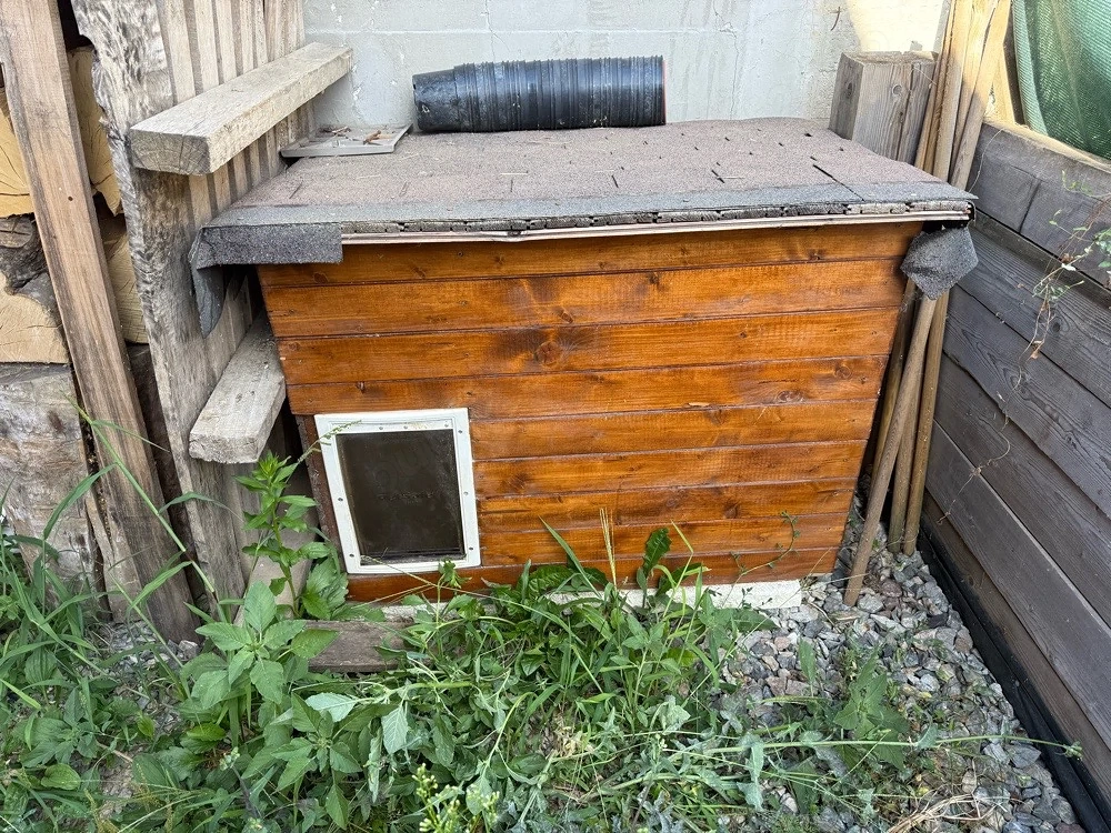 cusca de caini izolata cu usa tripla