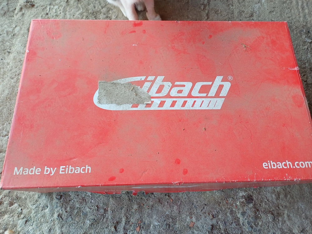 Arcuri sport eibach pro kit