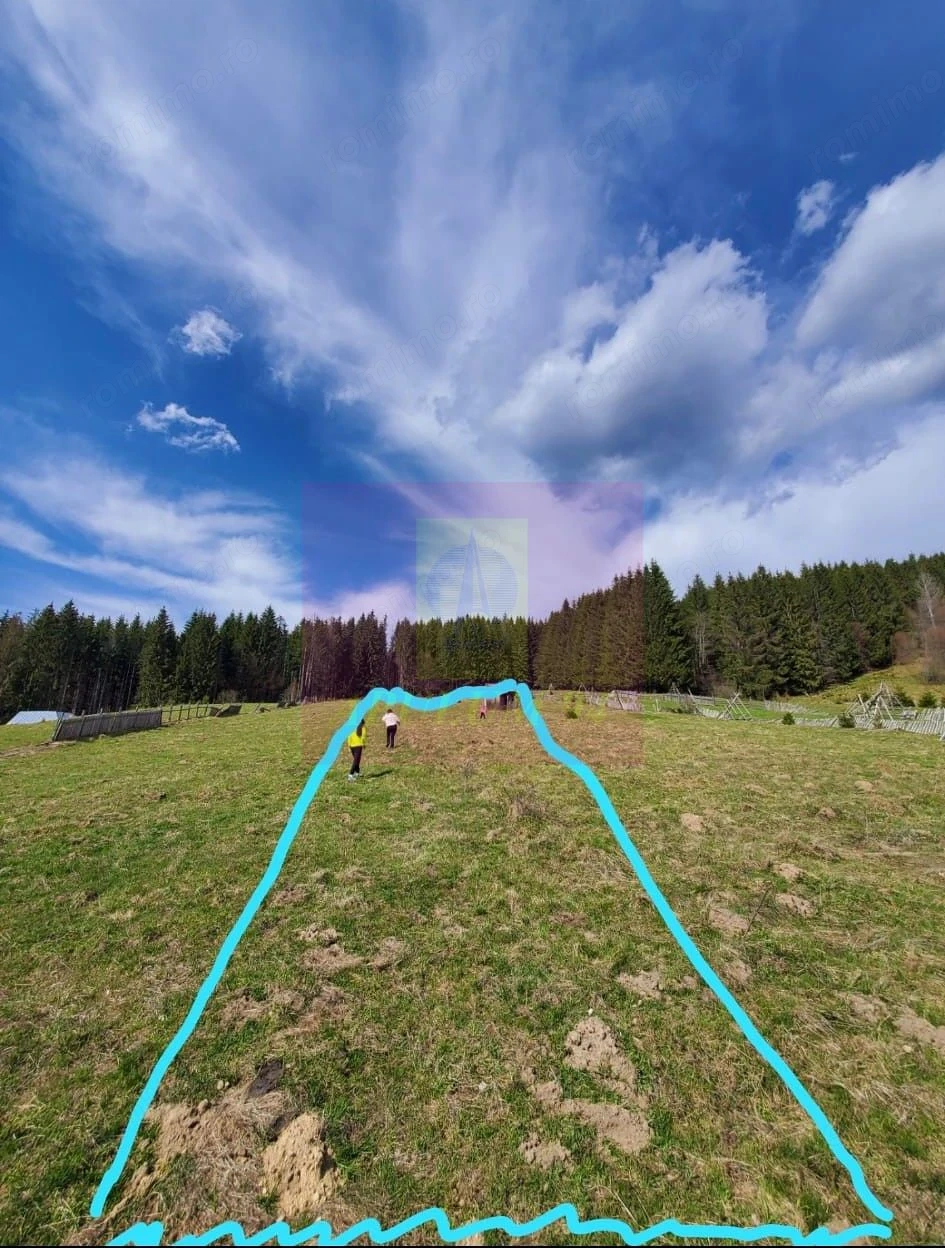 Teren intravilan 2500 mp in Valea Doftanei