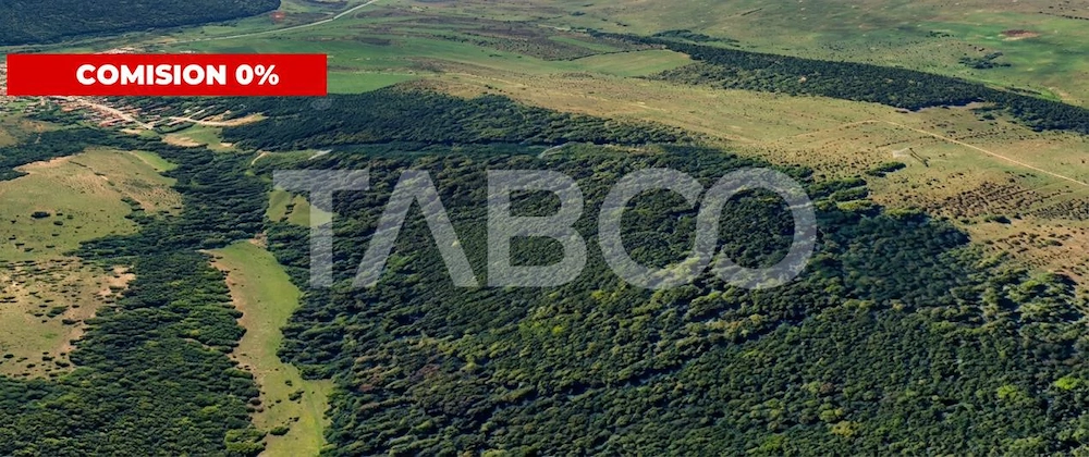 COMISION 0% - Padure de 12.7 hectare de vanzare in judetul Sibiu