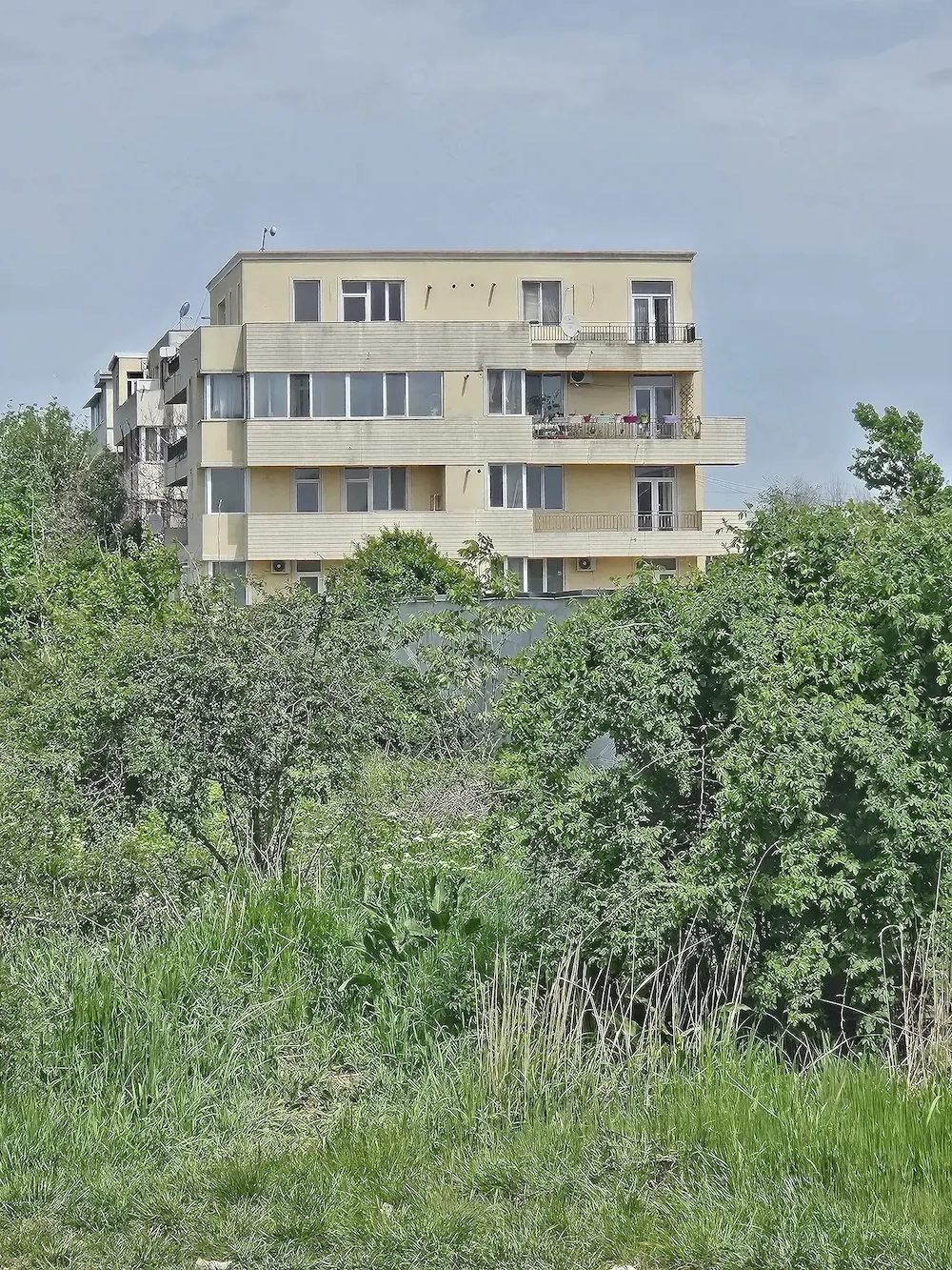 Vand teren intravilan 8 000 mp Domnești 