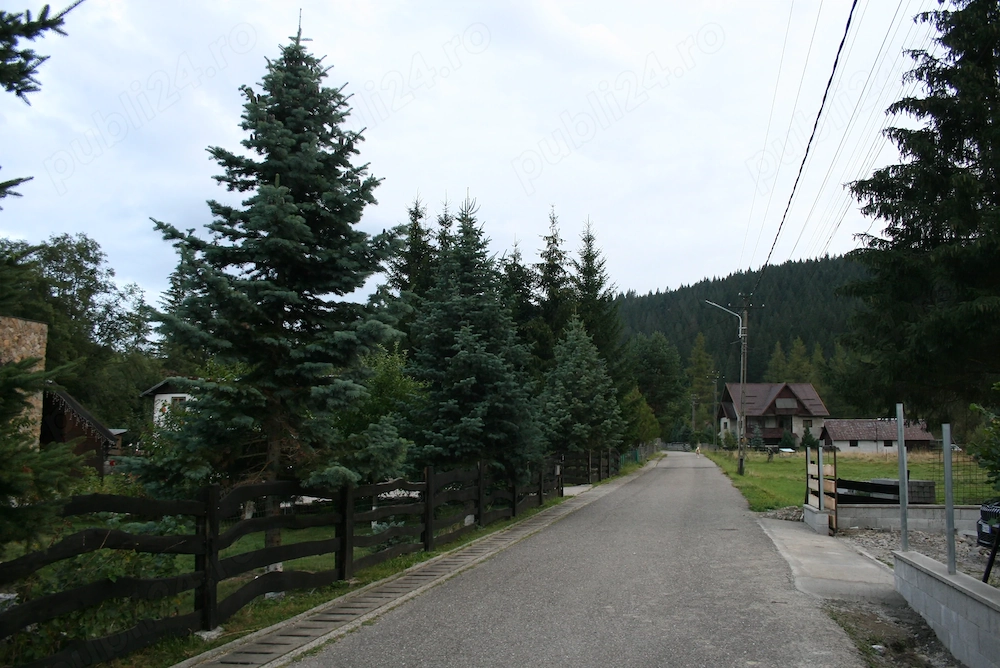 Teren intravelan premium 13841 mp- valea putnei, bucovina(lînga bio valeputna)