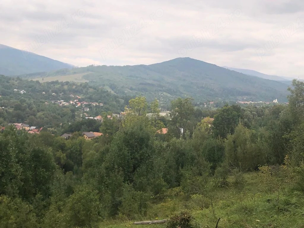 Vanzare teren Tesila,Valea Doftanei