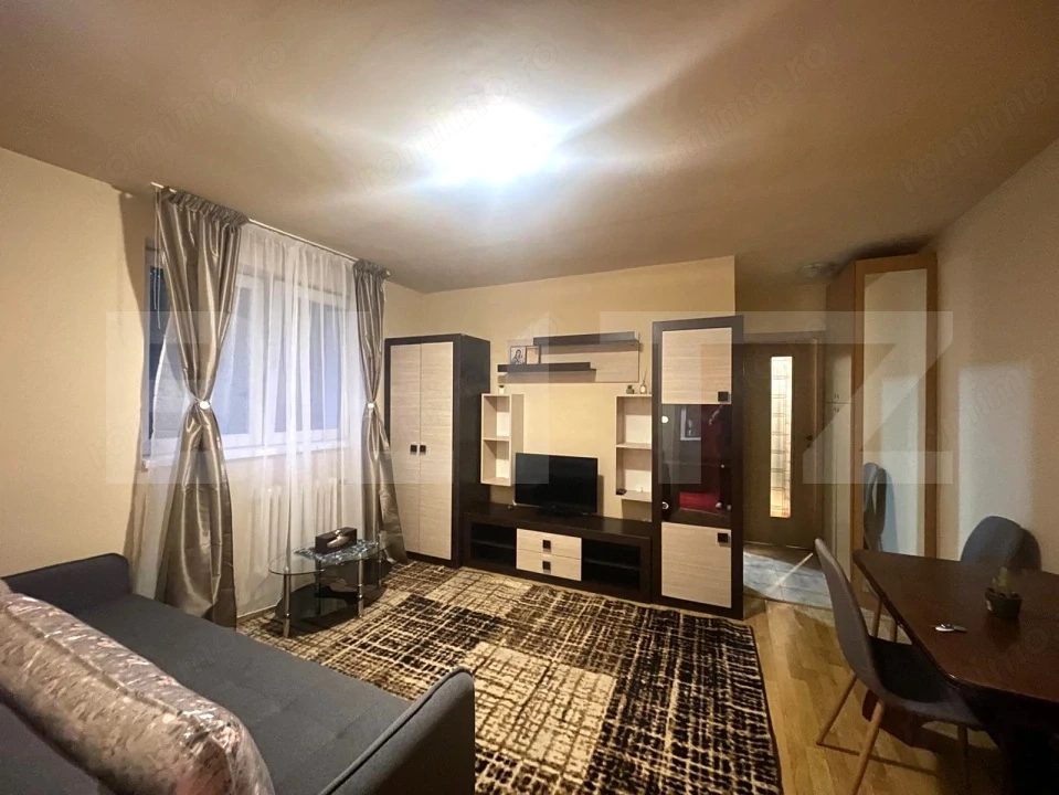 Apartament 2 camere, la cheie, C-tin Brancusi