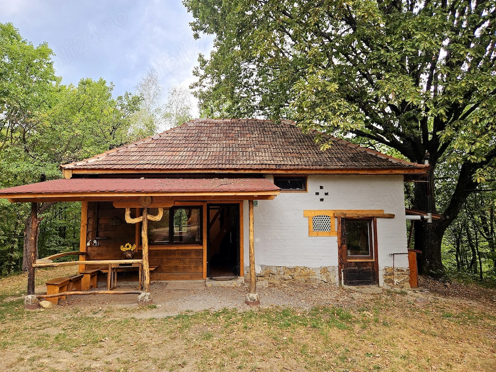Poiană privată, pădure și cabană | Proprietate cu potențial turistic