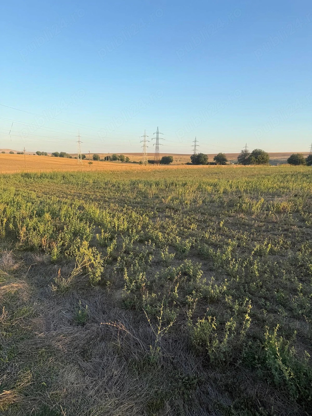 Teren intravilan 4.003 mp Frecatei, Tulcea - drum pe 3 laturi, curent, proprietar