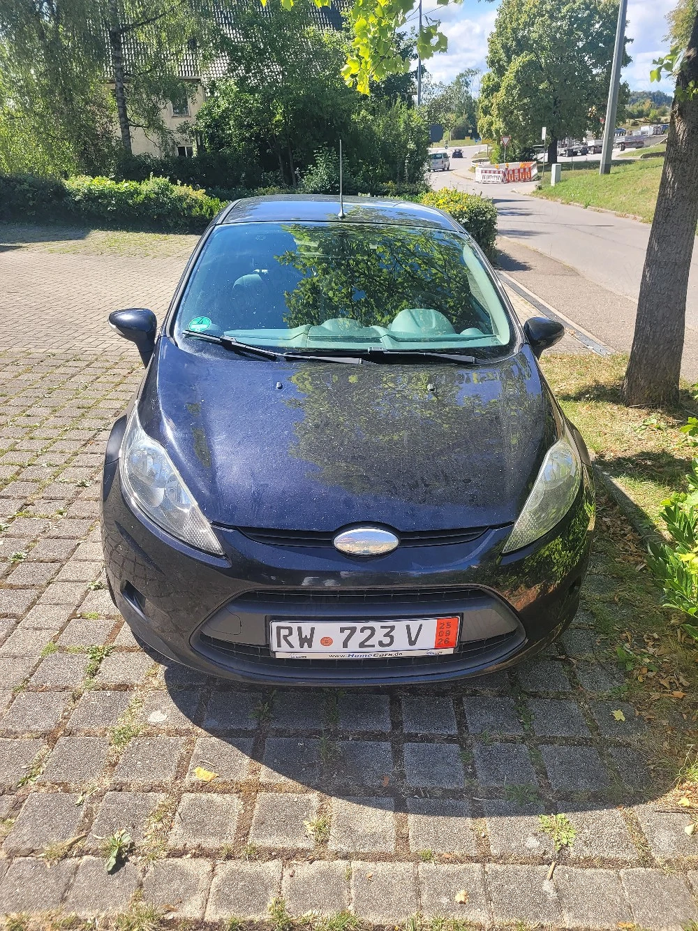 ford fiesta 2010 motor1300