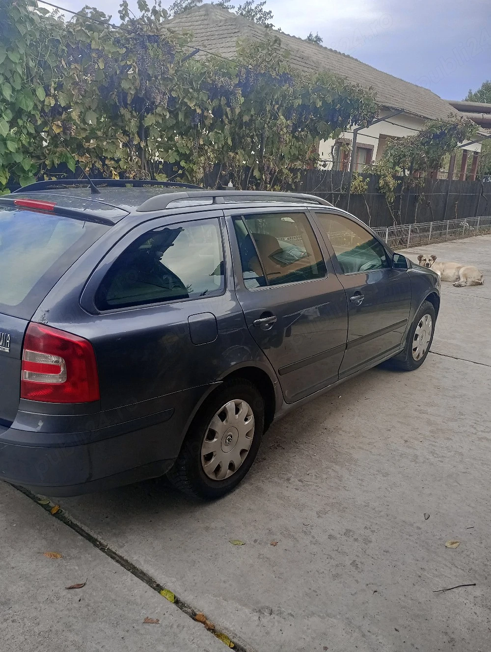 Skoda Octavia 