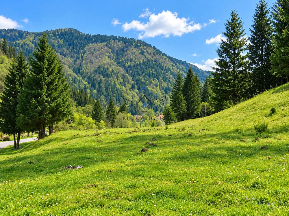 1100mp cu vedere spre Piatra Craiului, Plaiul Foii, Zarnesti