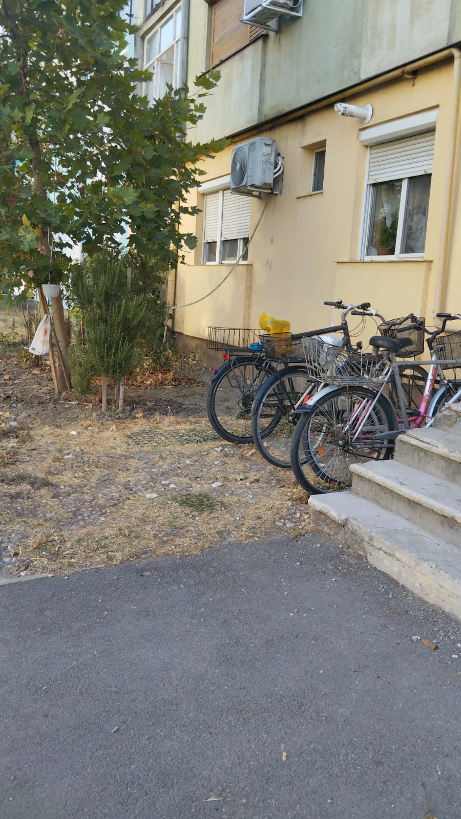 Salonta,bihor....