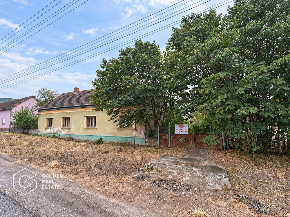 Oportunitate de investitie, constructie cu teren, 3105 mp, localitate Galsa