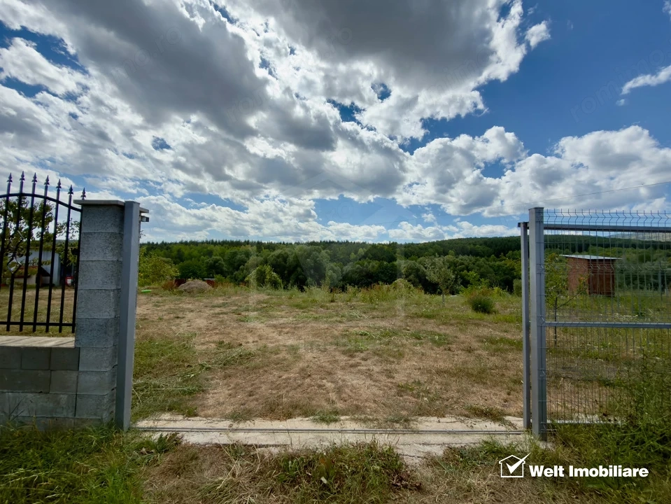 Teren Intravilan 1.137 mp | Săvădisla | Utilități | Panoramă Pădure