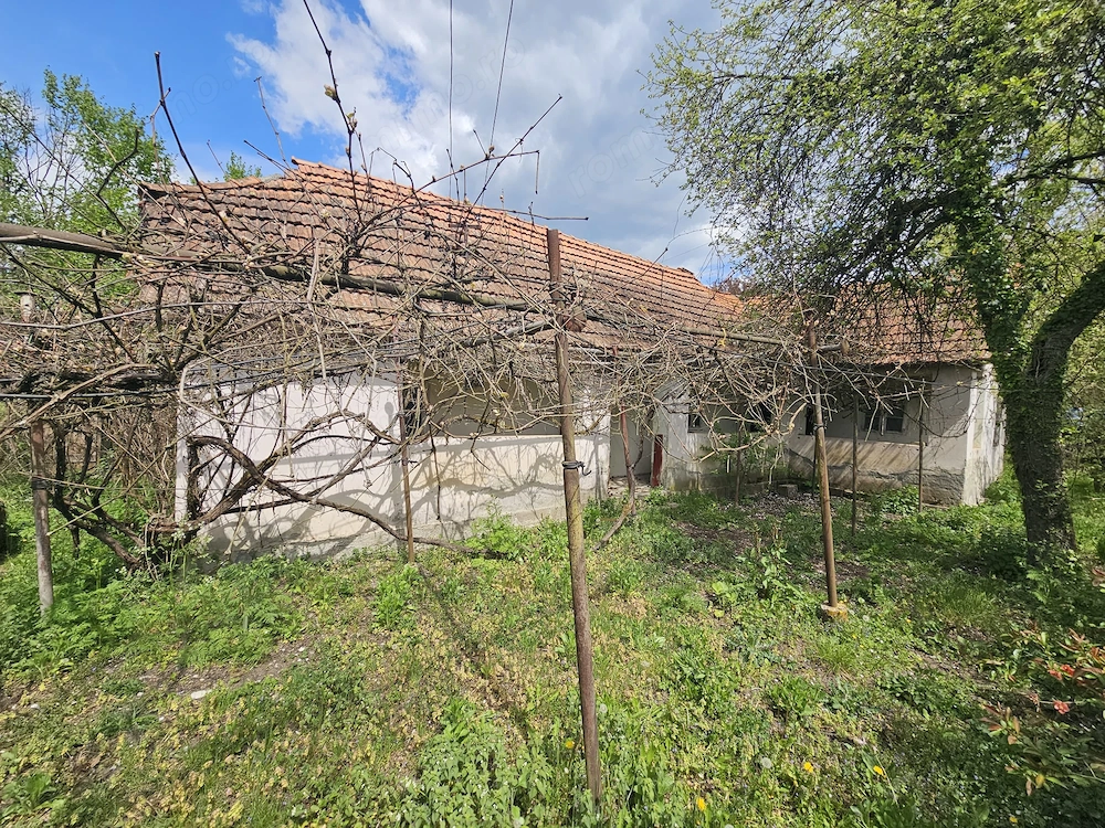 Casa si Teren - Zam 