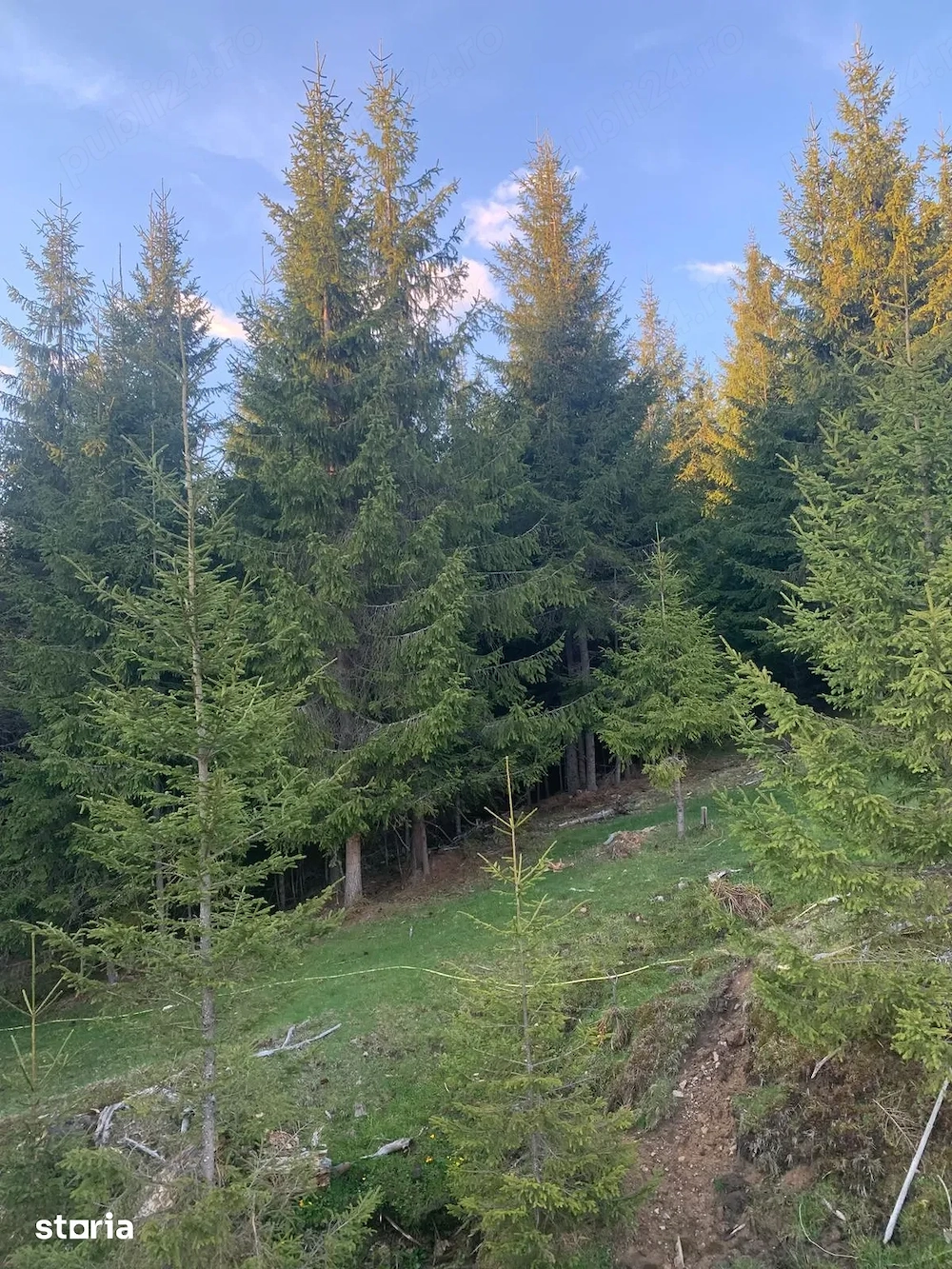 Teren recreațional de vânzare, 1000mp