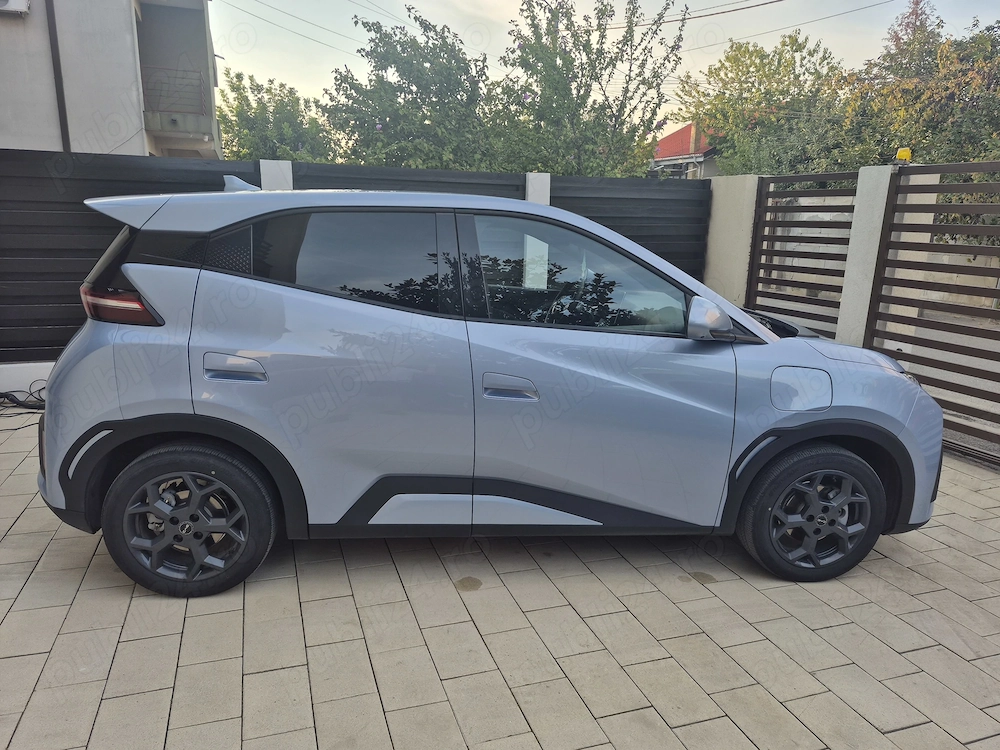 Byd dalphin surf 