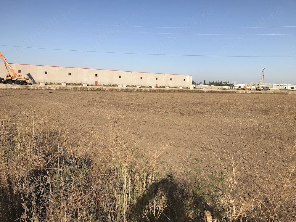 Teren Extravilan 2hectare in Chitila perfect pentru constructii