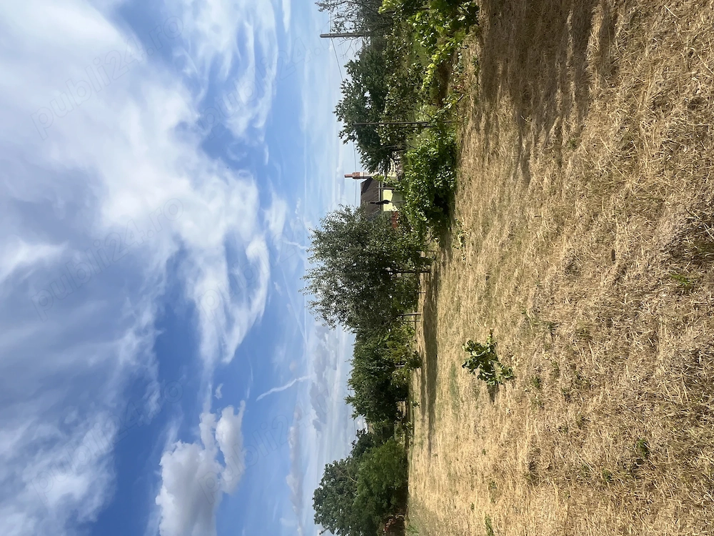 Vând teren intravilan   1.367 mp   Ianca, comuna Diosig, Bihor