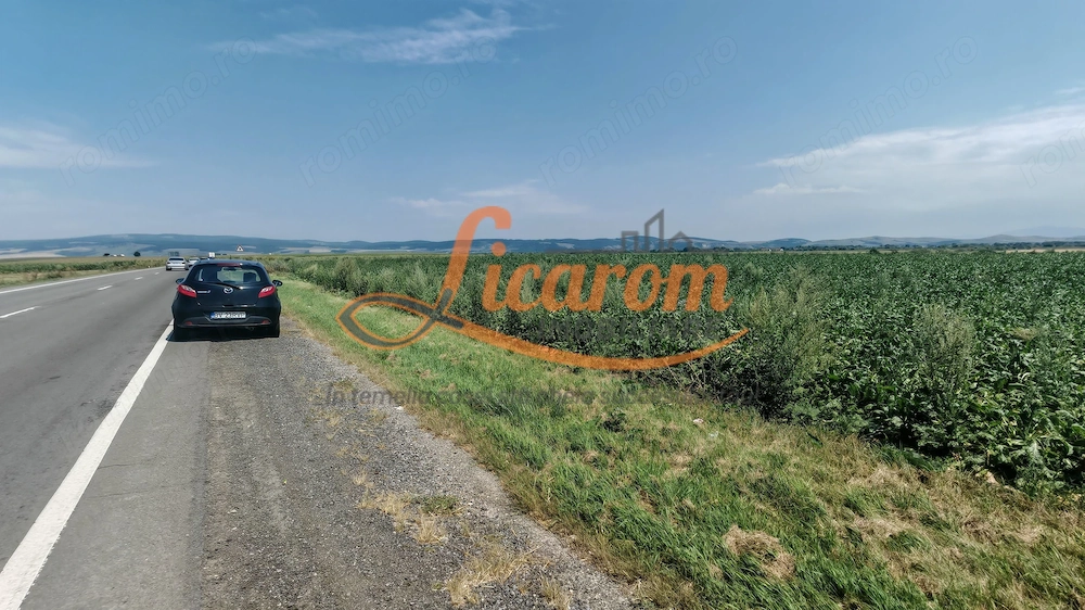 Teren intravilan 3,85 ha,Brasov DN 13 langa MILLE, OLYMPUS, ARKADA
