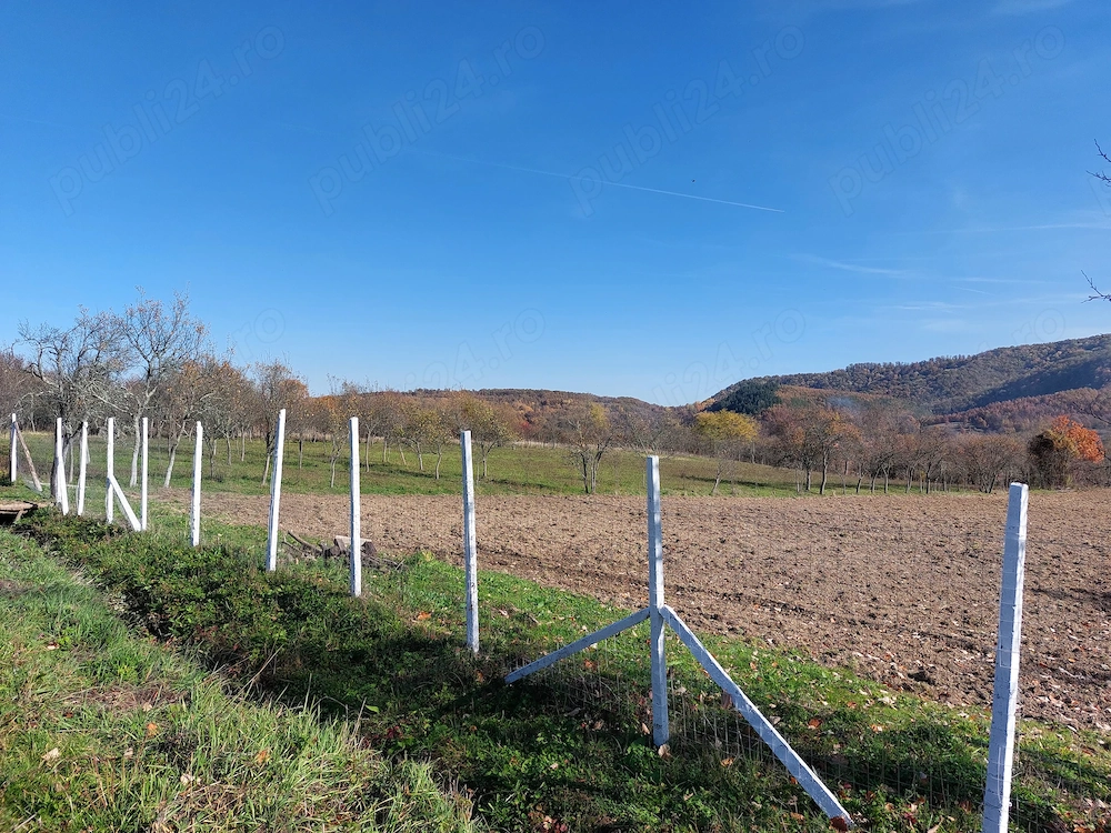 Surduc, de vanzare langa lacul Surduc curte si gradina cu fantana, documente de proprietate la zi