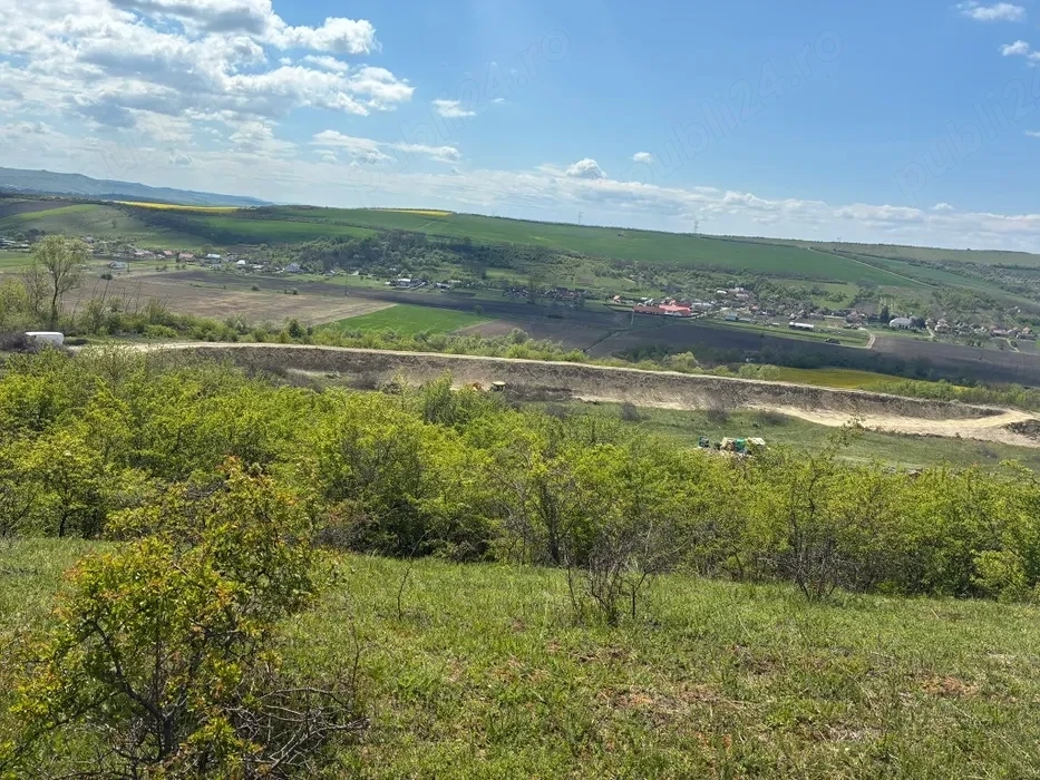 Teren 4,5 hectare cu lac, pădure și sursă de apă   Luna de Jos