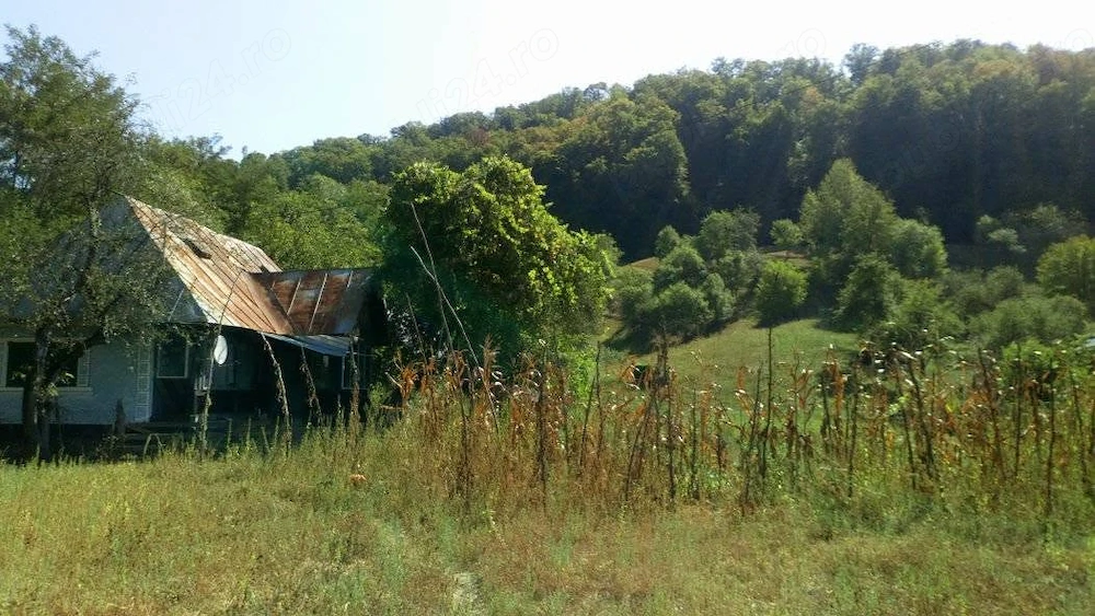Casă de vanzare cu teren și pădure