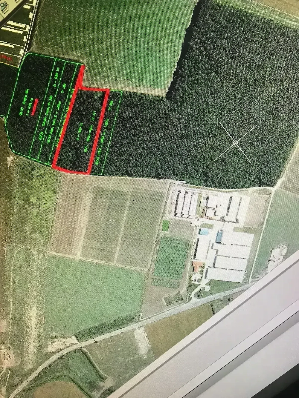  Pădurea Strava   25.000 mp | arbori de peste 100 ani | Afumați   Șindrilița | lângă Pioneer