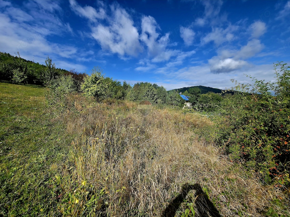 Teren 1,000mp  Strada Pietrelor /Fermelor