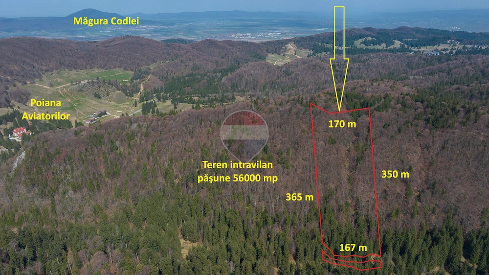 Teren intravilan, 56000 mp, Poiana Braşov