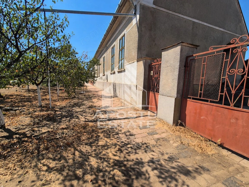 Doua case de vanzare cu 2533 mp teren, localitatea Pesac, Timis