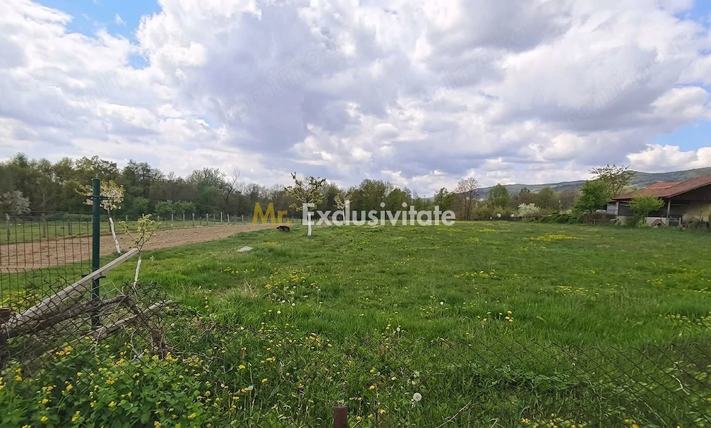 Teren mixt de vânzare Crasna Gorj, aproape de Rânca– 19.209 mp