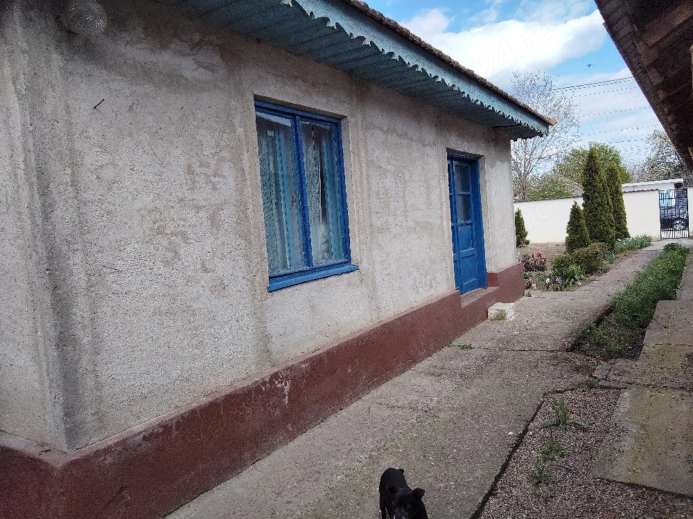 Vand urgent casă Amara 