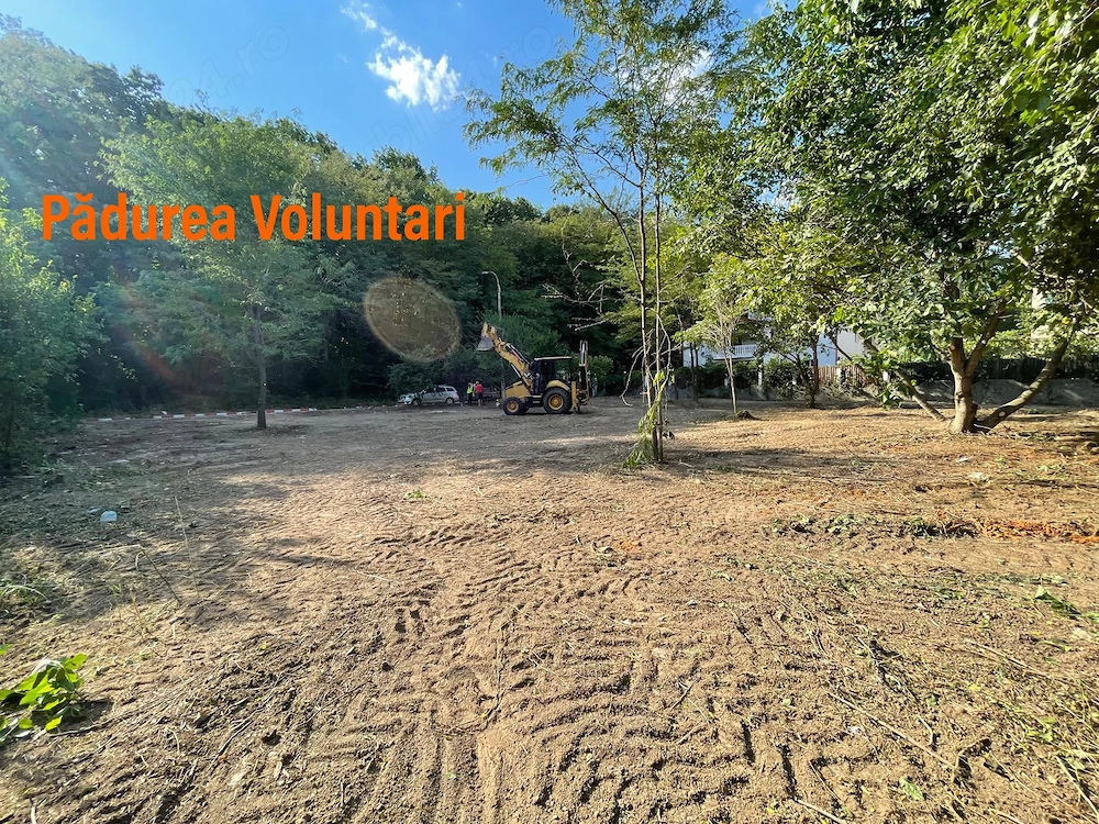 Vand teren la pădure,zona Matei Millo,Erou Mircea Marinescu,Voluntari