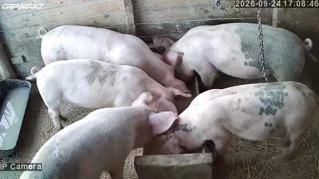 vand purcei in bertestii de jos
