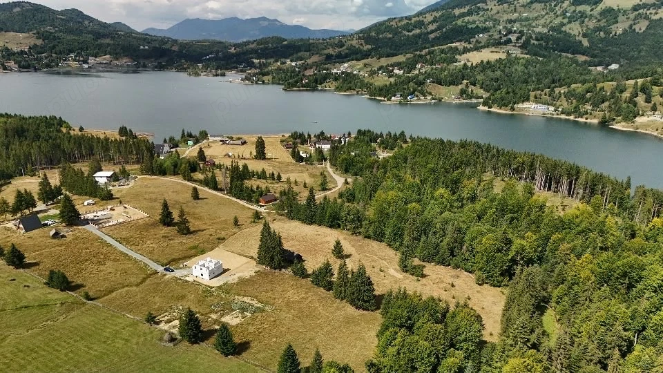 Teren colibita 