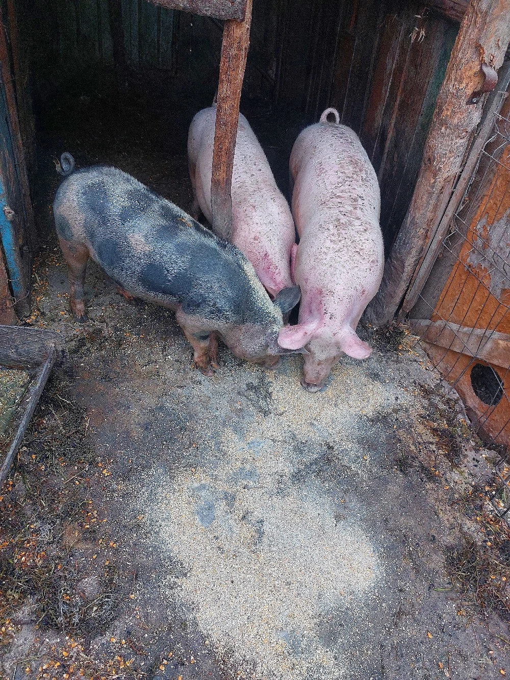 De Vanzare